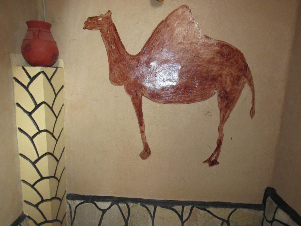 Dounia Hostel タンギール エクステリア 写真